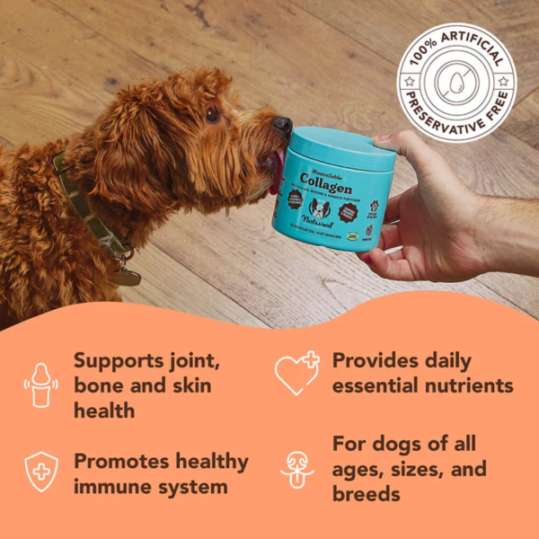 Natural Dog Company Collagen Supplement for Dogs Online