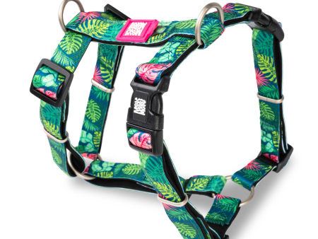 Max & Molly Tropical Dog Harness Sale