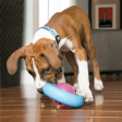 Kong Gyro for Puppies Hot on Sale