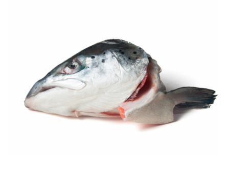 KB Raw Salmon Heads 2 Pack Cheap