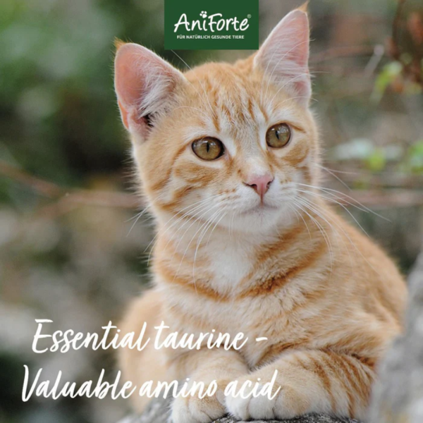 AniForte Taurine Powder for Cats Supply