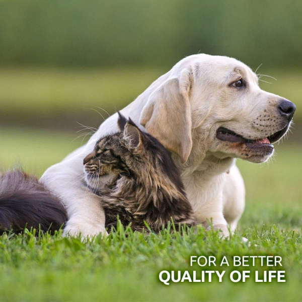 AniForte Organic Hemp Oil for Pets Supply