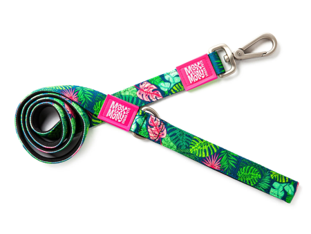 Max & Molly Tropical Dog Lead Online