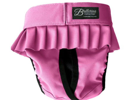 Finnero Female Dog Heat & Hygiene Pants on Sale