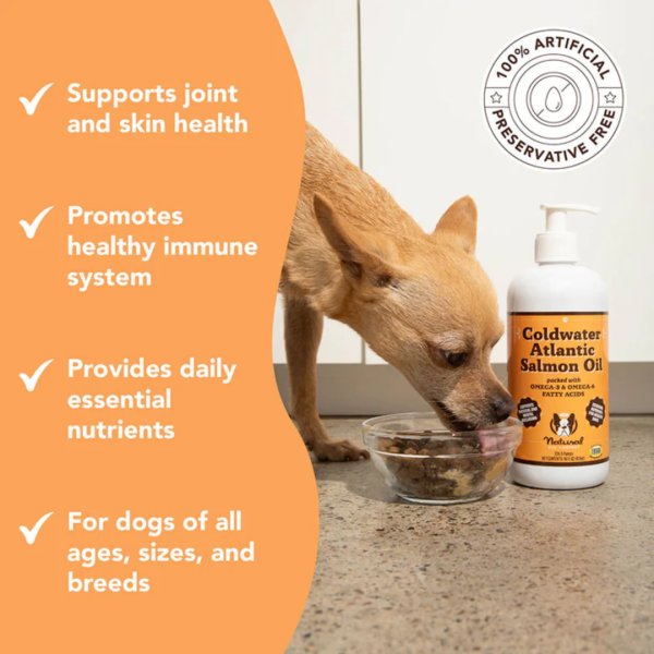 Natural Dog Company Coldwater Atlantic Salmon Oil For Cheap