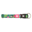 Max & Molly Tropical Smart ID Dog Collar For Sale