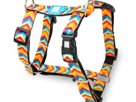 Max & Molly Summertime Dog Harness For Sale