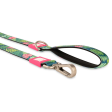 Max & Molly Tropical Dog Lead Online