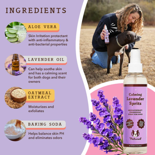 Natural Dog Company Calming Lavender Spritz Sale