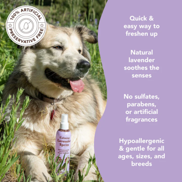 Natural Dog Company Calming Lavender Spritz Sale