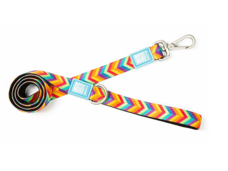 Max & Molly Summertime Dog Lead Online now