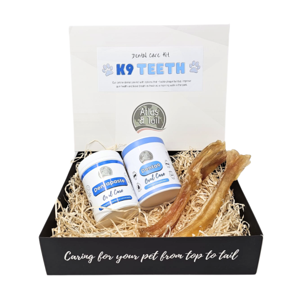 Dental Care Kit Online Hot Sale