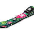 Max & Molly Tropical Smart ID Dog Collar For Sale