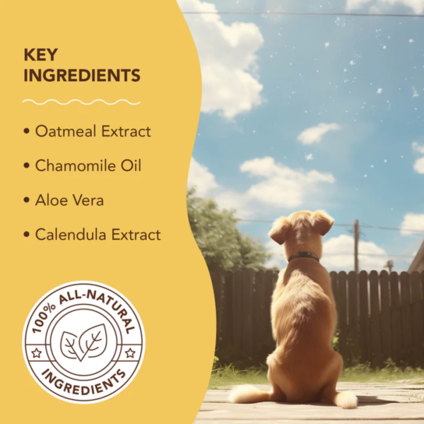 Natural Dog Company Oatmeal Sensitive Skin Spritz Online