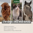 AniForte Organic Hemp Oil for Pets Supply