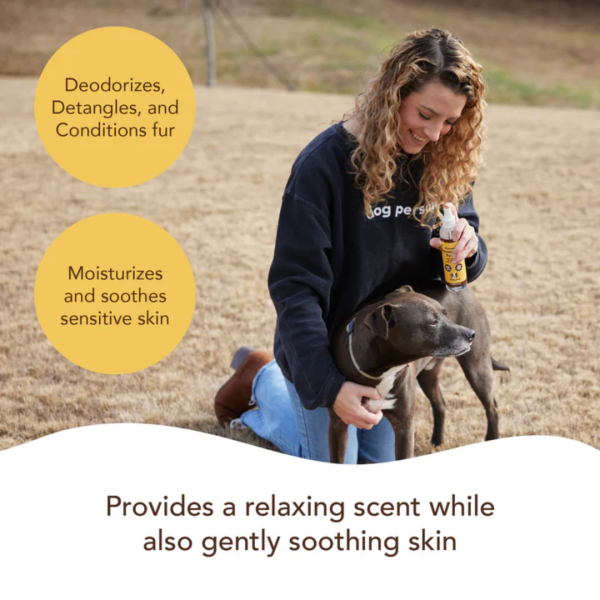 Natural Dog Company Oatmeal Sensitive Skin Spritz Online