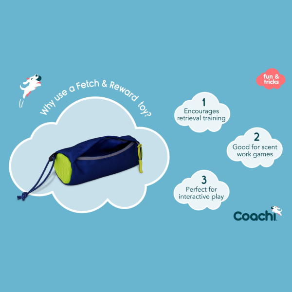 Coachi Fetch & Reward on Sale