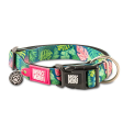 Max & Molly Tropical Smart ID Dog Collar For Sale