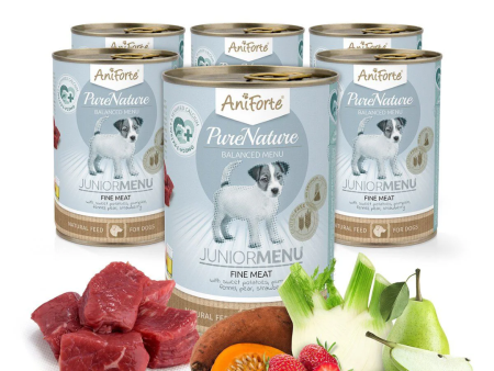 AniForte PureNature Junior Beef Wet Food Online