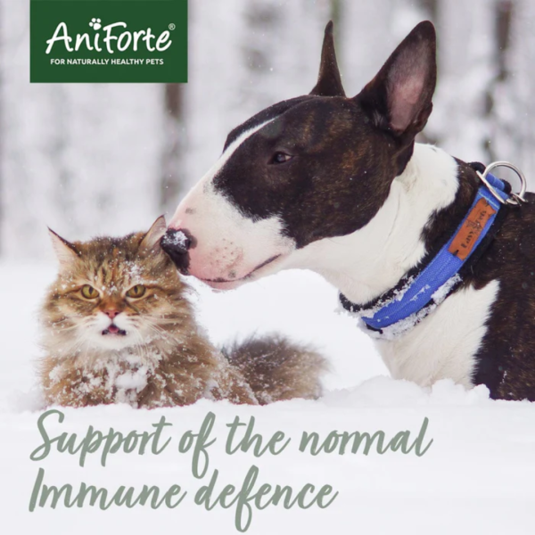 AniForte Colostrum for Pets Online Hot Sale