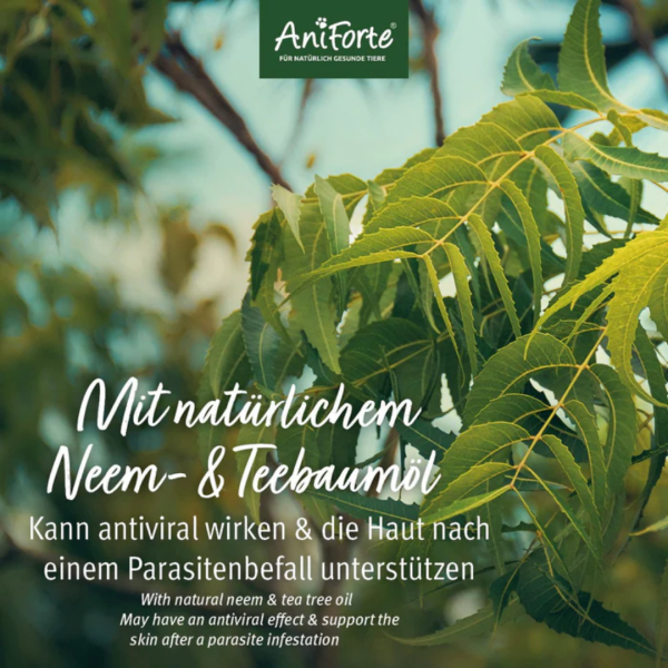 AniForte Neem Oil Shampoo Online