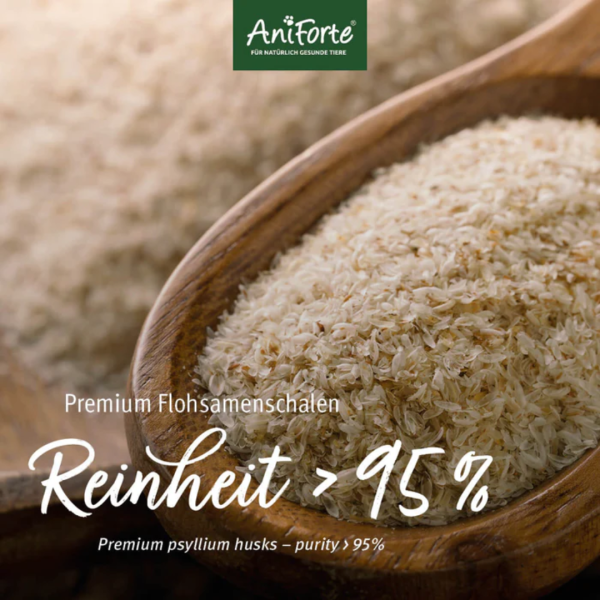 AniForte Psyllium Husks for Pets Online Hot Sale