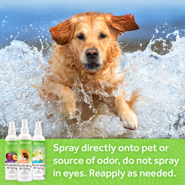 Tropiclean Lime & Coconut Deodorizing Pet Spray Cheap