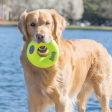 KONG AirDog Squeaker Donut For Sale