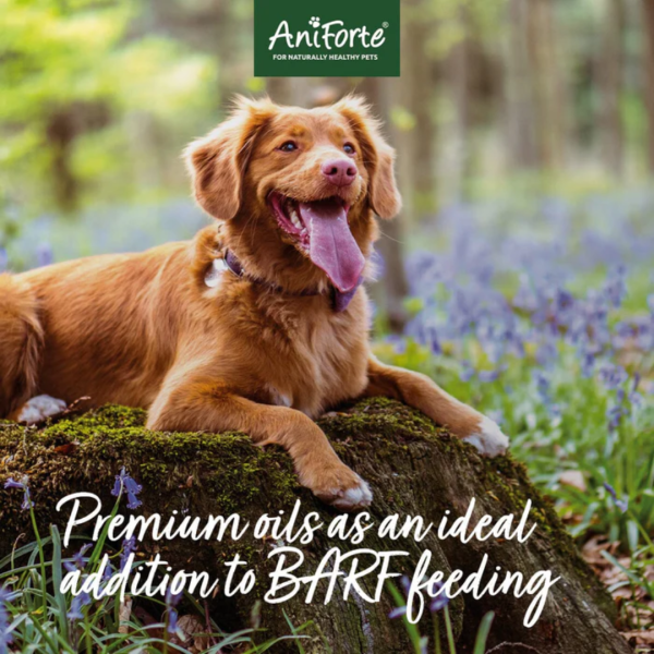 AniForte BARF-Line Premium Feed Oil Online now