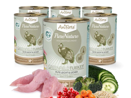 AniForte PureNature Turkey Wet Food Sale