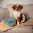 Scruffs Snuggle Pet Blanket Cheap